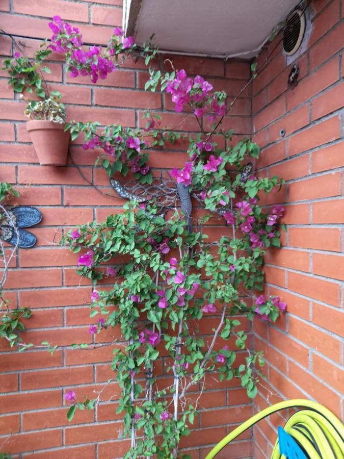 Atico Isaac Albeniz Apartment La Pineda Exterior foto